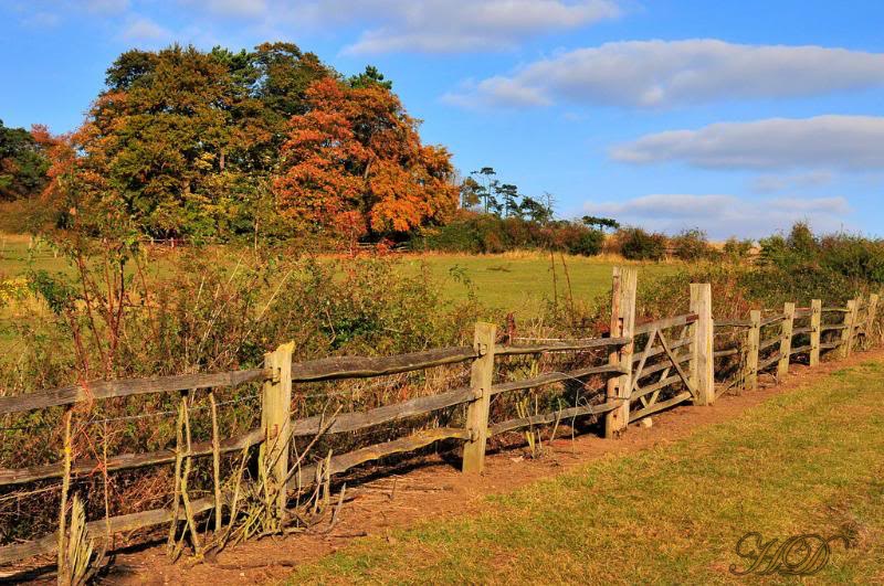 Saffron-Walden-Oct09-autmn-fence-HD-jpg-original.jpg