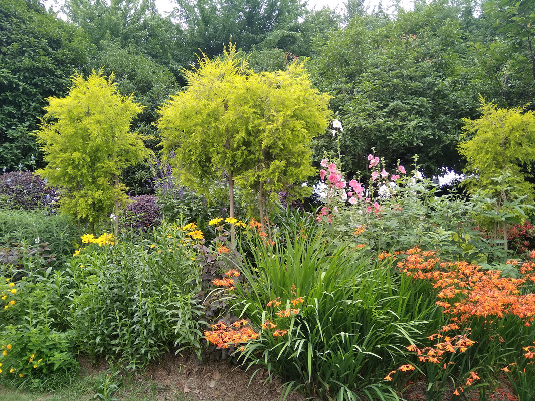 IMG_20190601_140145