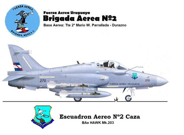 Cartel-2-Escuadron-de-Caza-Hawk-203-de-la-FAU.jpg
