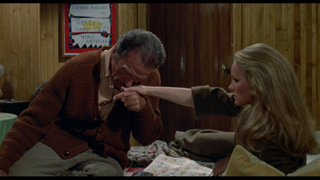 vlcsnap-2023-03-02-22h00m52s314