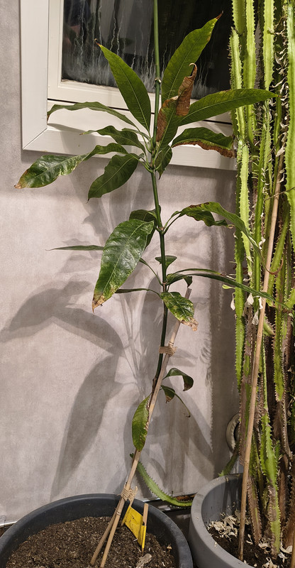 IMG_20251014_005142348_HDR_kopia