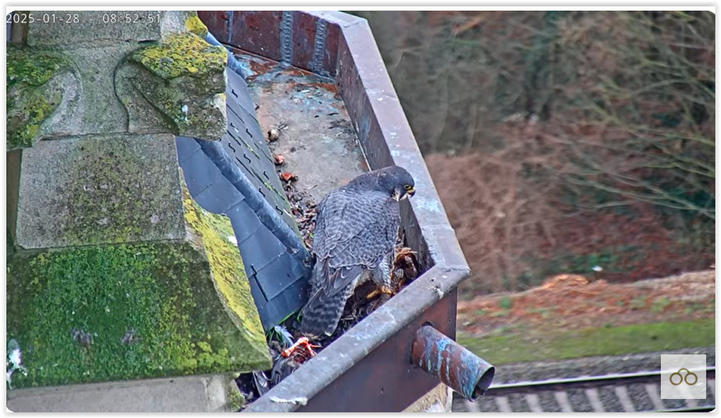 Screen Shot 01-28-25 at 08.57 AM 002