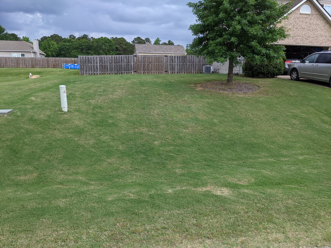 PXL_20210511_215448173