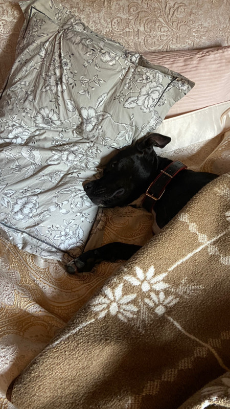 305920FC-3798-4CC5-9170-42525868C8F0