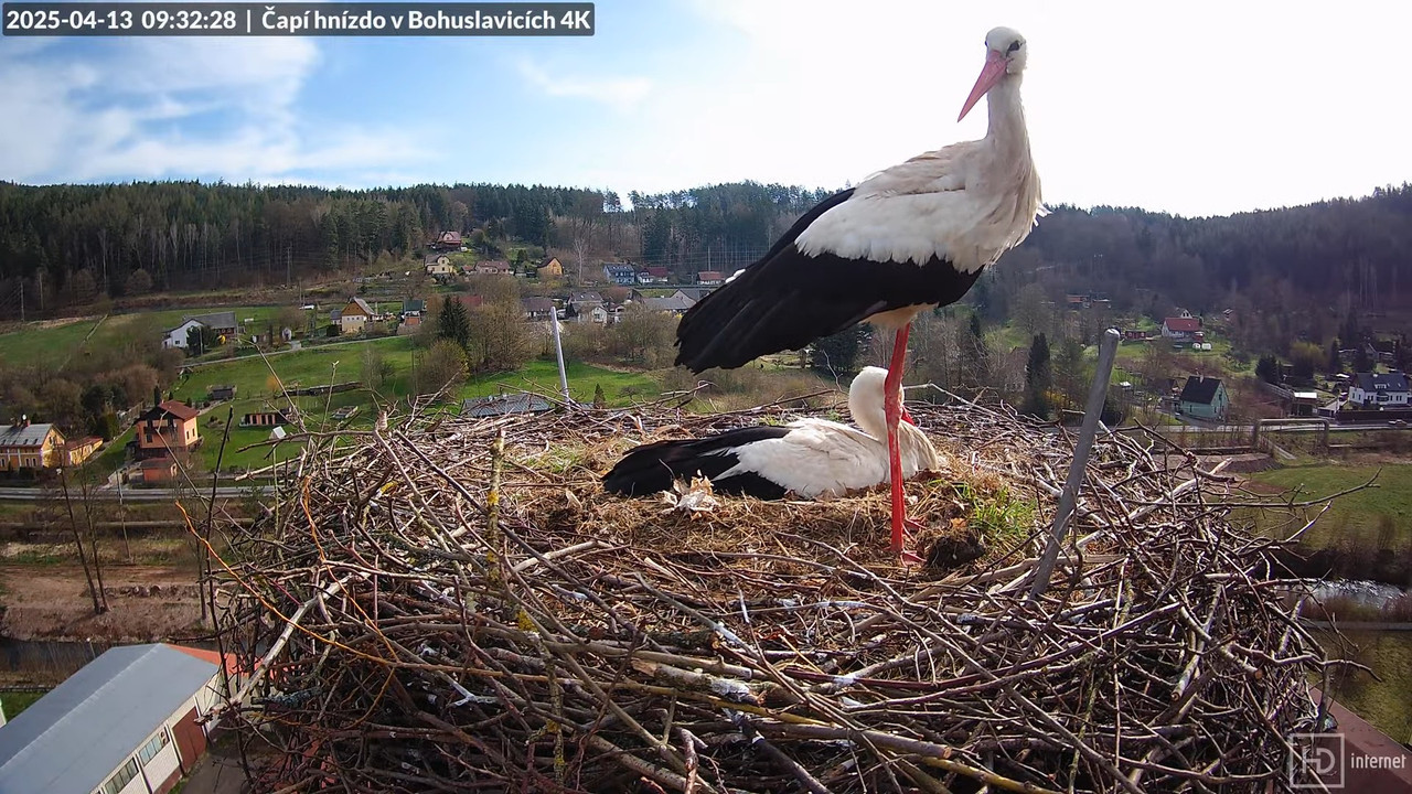 Živě z čapího komína firmy KARA v Bohuslavicích u Trutnova 11-3-14 screenshot