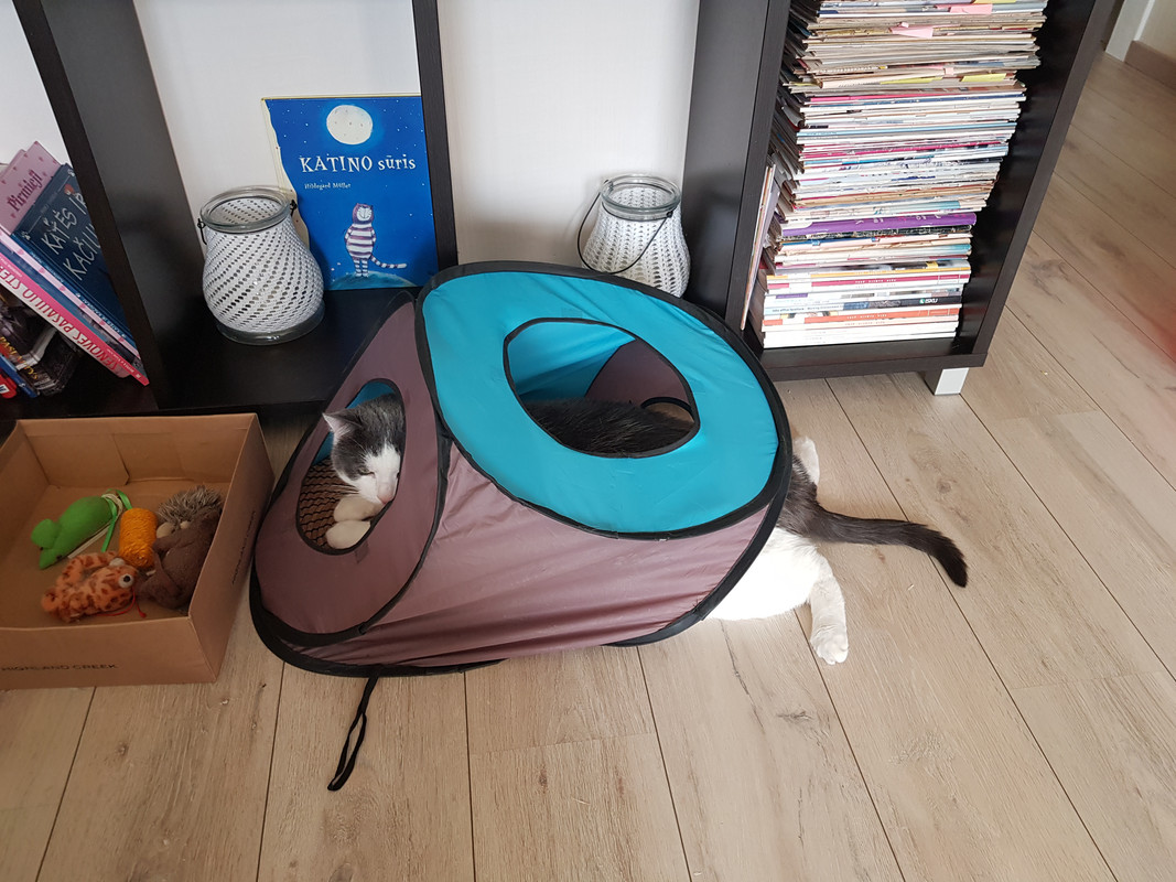 20190224-145153.jpg