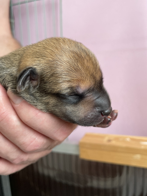 C478AE2A-93AB-4D34-9775-6441D19F9403