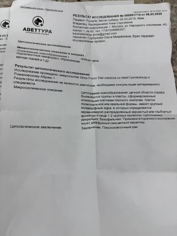 IMG_20250310_145814_403