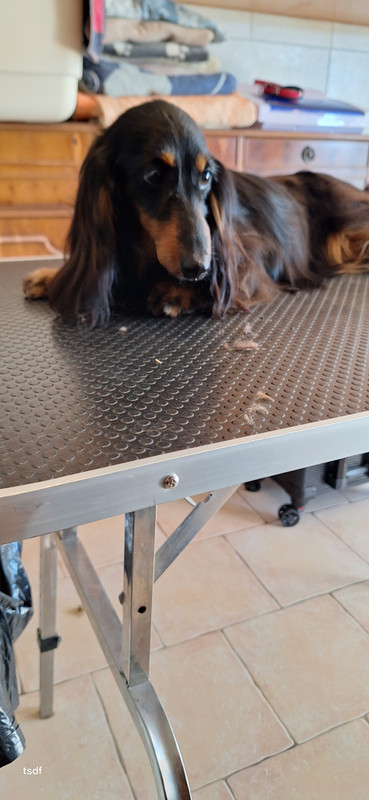 [Image: 20250516-092336.jpg]