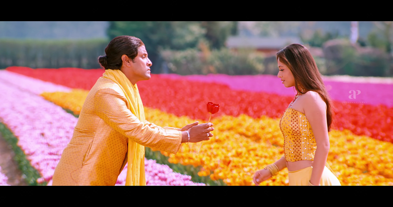 VideoCapture_20241122-200141