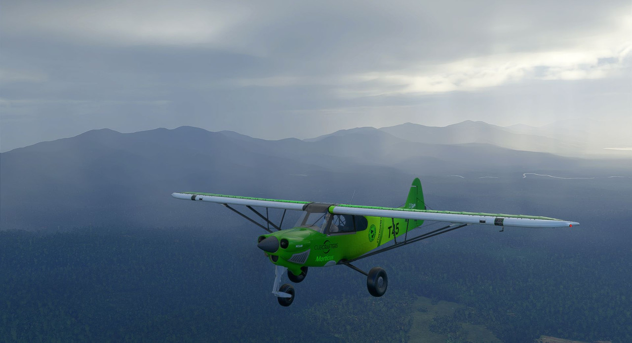 AT-2.jpg