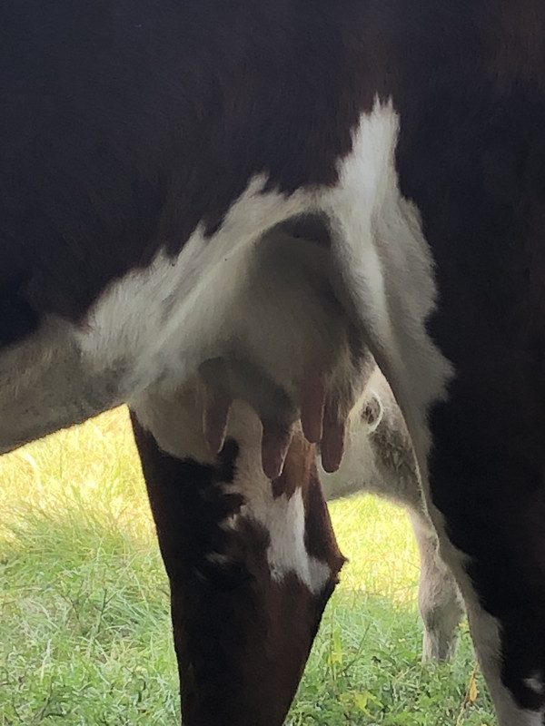 4B6A56B6-E016-46A6-B65D-2C1846E3A4CD