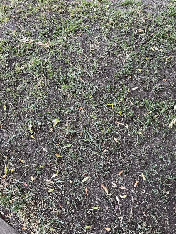 Top Dressing 1 — Postimages