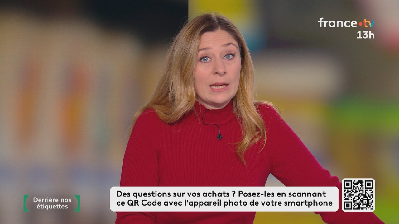 Journal 13h00 (France 2) 2026 01 27 11 55 73 ts snapshot 36 47 013