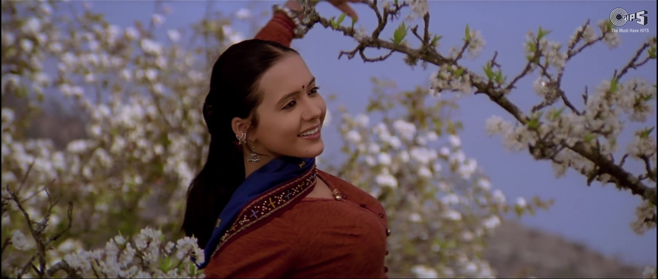 vlcsnap-2021-11-10-19h25m26s664