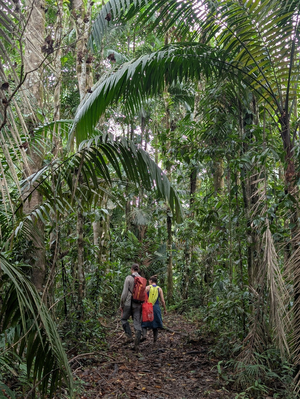 Fieldwork photo 3