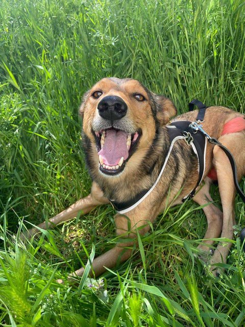 изображение_viber_2022-05-19_21-18-16-740