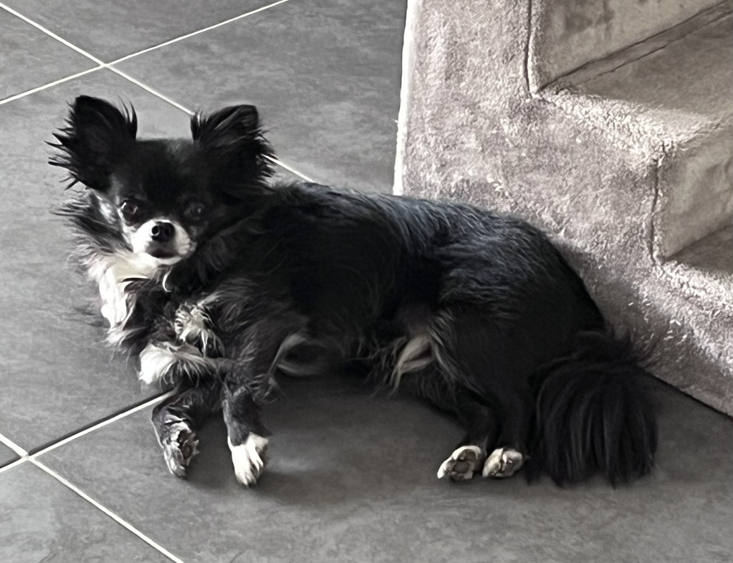 [Image: IMG-8647.jpg]