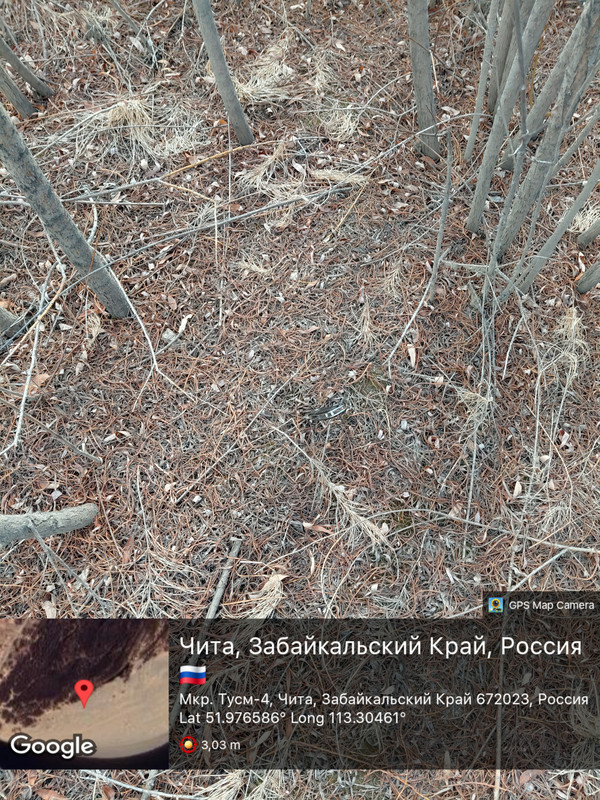 20260331 30427PMBy GPSMap Camera