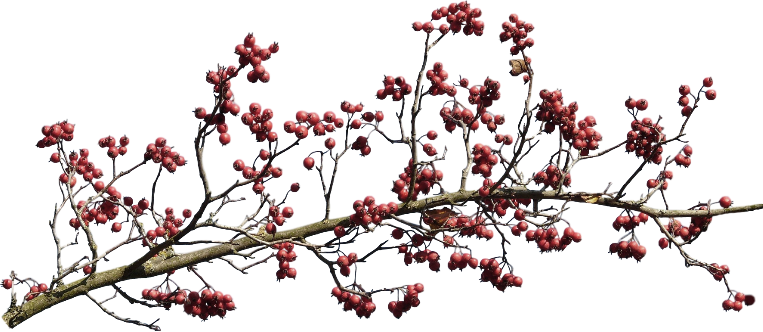WinterLove-012