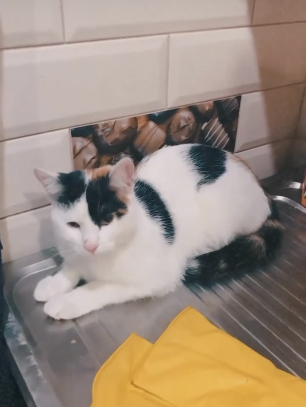 AEFB3E71-BDE3-43EF-8ACA-EEEF7640944B