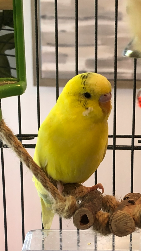 40A3DF97-4EFE-4BF7-B093-70399303968F