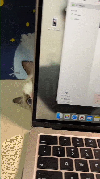 004.gif