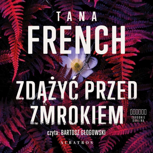 French Tana - Cykl: Zbrodnie Dublina (tom 1) Zdążyć przed zmrokiem (2026)