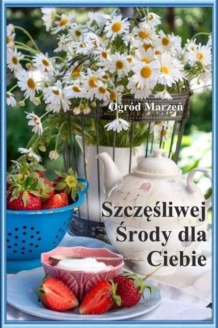 Obrazek dodany przez użytkowniczkę
