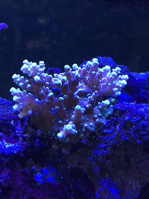 2799F24C-F9BA-40CA-B79A-6BE2CF7DEC28