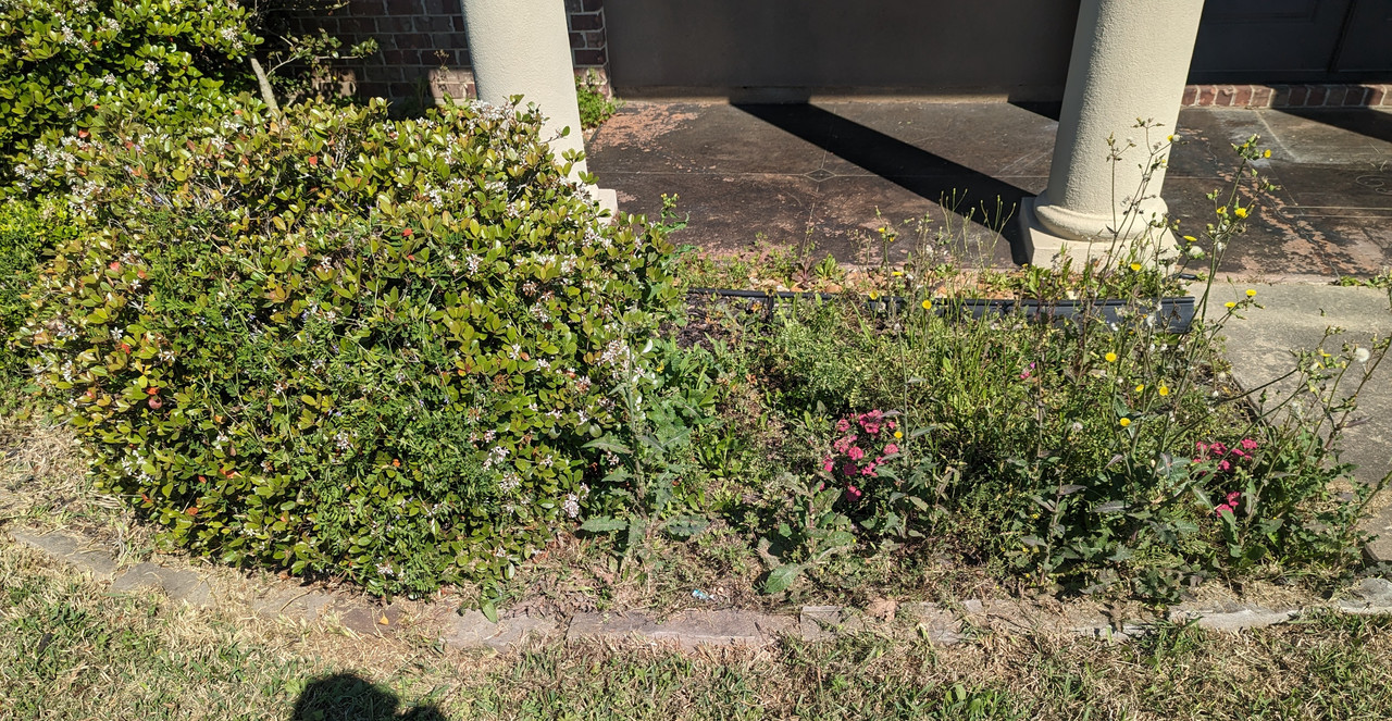 PXL_20230305_163505199