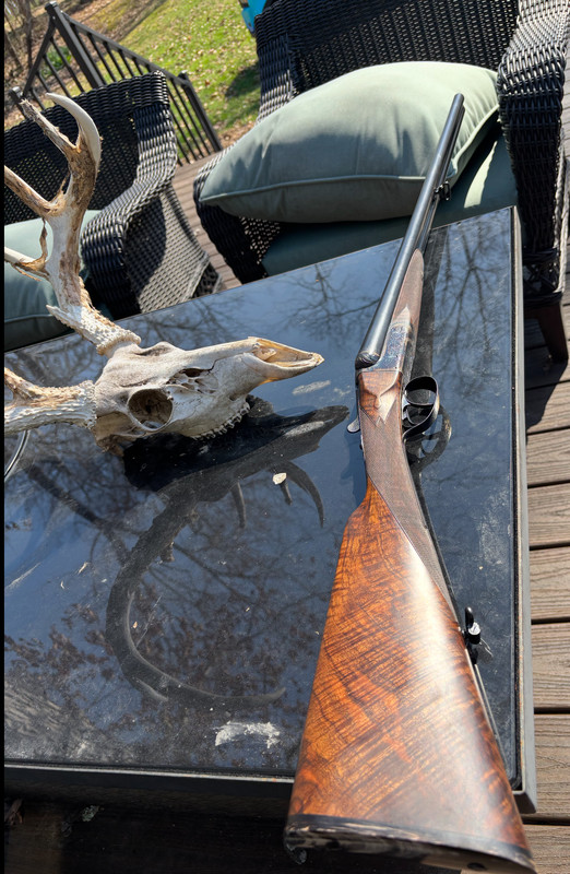 [Linked Image from i.postimg.cc]