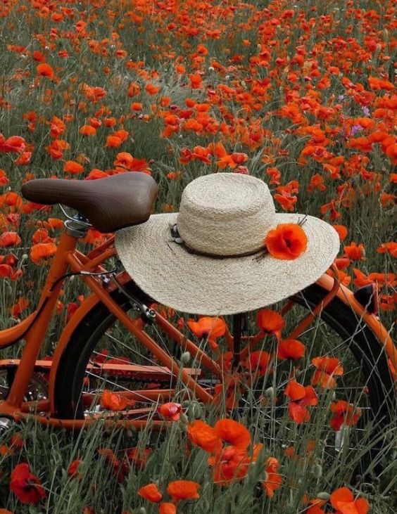 flowersandhat.jpg