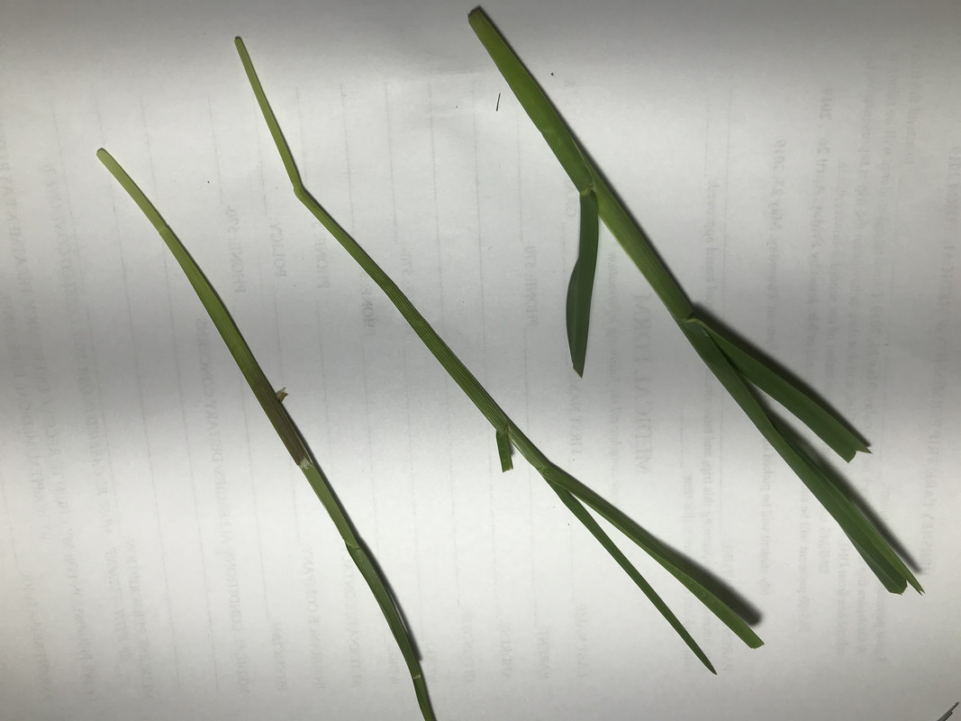 Photo Apr 22, 7 32 41 PM