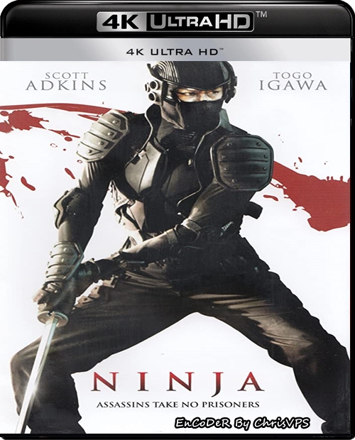 Ninja (2009) MULTI.SDR.UP.2160p.AI.BluRay.DTS.HD.MA.AC3-ChrisVPS / LEKTOR i NAPISY