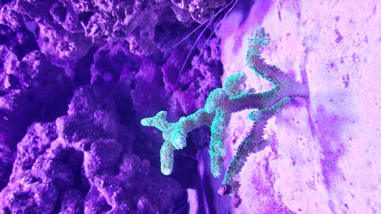 20160430_224854_Richtone(HDR)