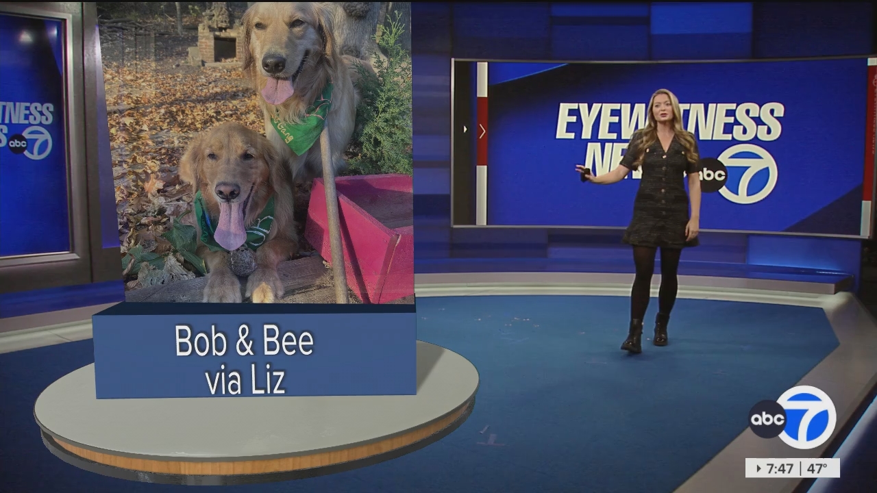 Eyewitness News Sunday Morning_20241110_11001300.ts_snapshot_01.48.30.424
