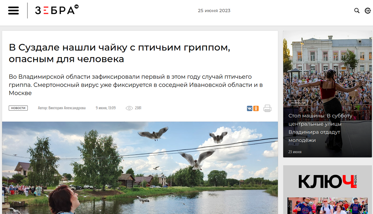 Выделение_619