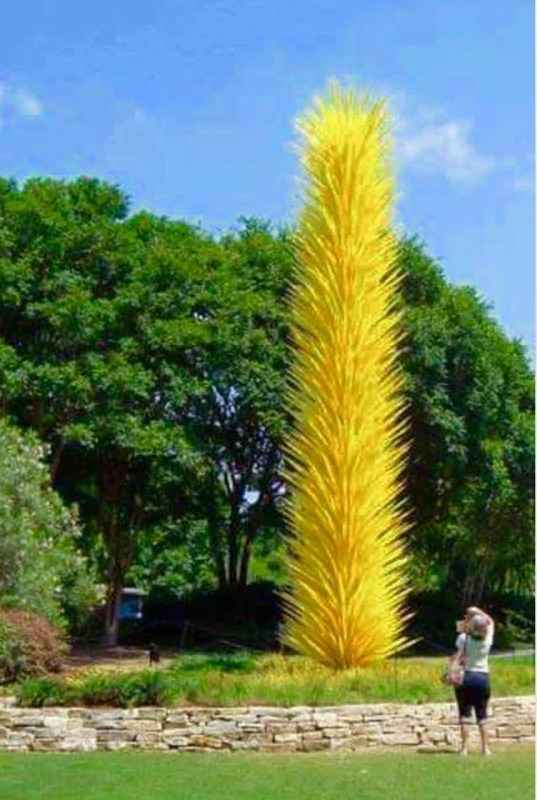 yellowplant.jpg