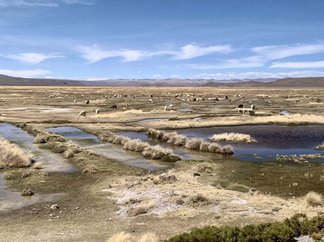 662D2299-43F2-488E-A37F-83C00A063974