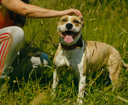 Screenshot_20230627_234039_Gallery