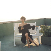 claudia-cardinale-mh17