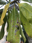 B0CC520D-9AE4-4AFB-95BF-241F32C70C2B