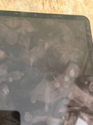 photo_2025-09-08_12-31-02