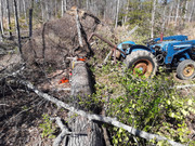 [Image: Firewood-2025.jpg]