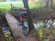 PXL_20211024_165103384