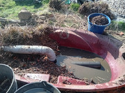 découverte du drain, fente vers le haut ...