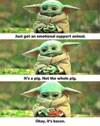 BACON-YODA