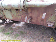 IMG-6434
