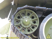 IMG-3008